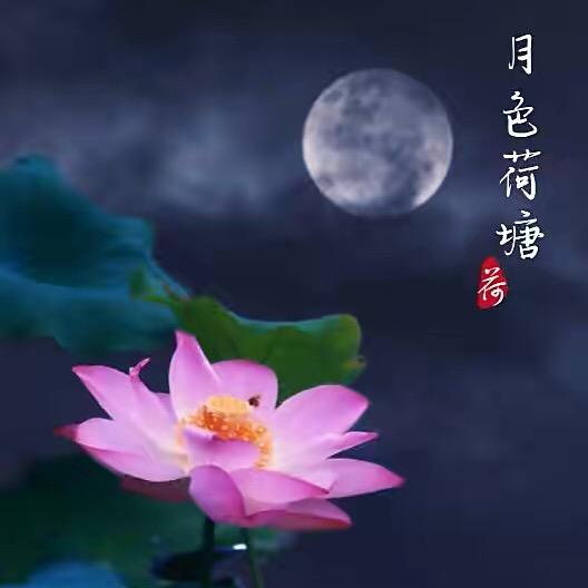 荷塘月色