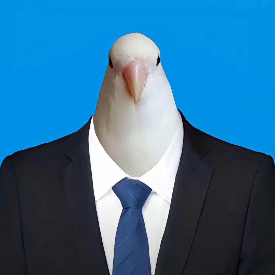 偷了高冷霸总的蕾丝内裤套在头上奔走在雨夜