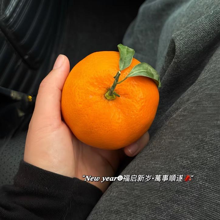🍊🍊