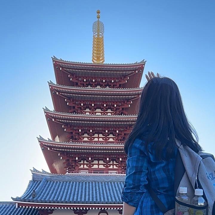 小燕子.