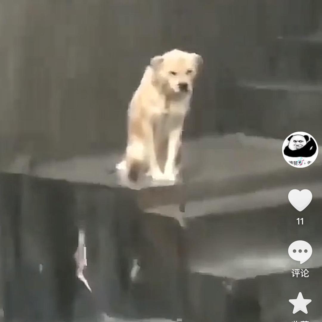 艺术家