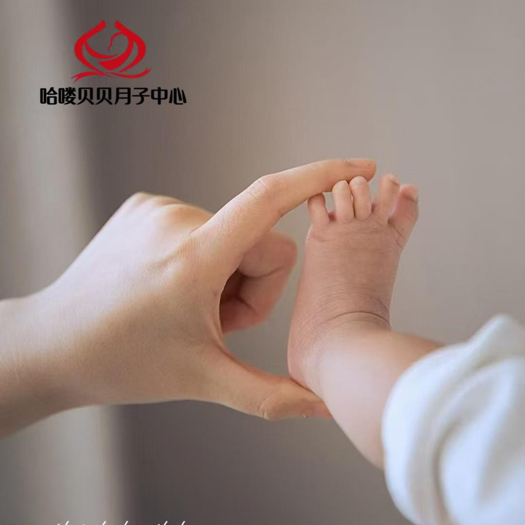 哈喽贝贝高端月子会所