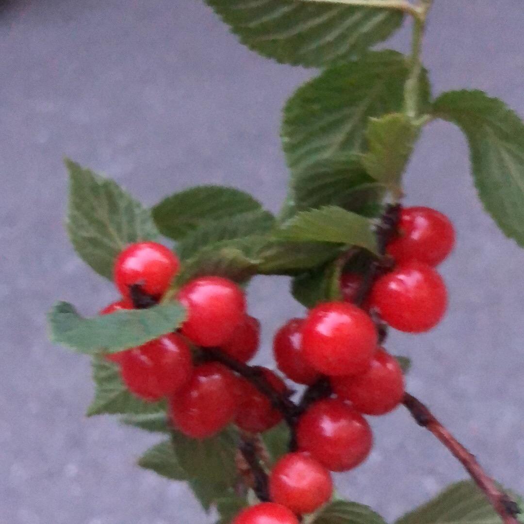 夏天下雨