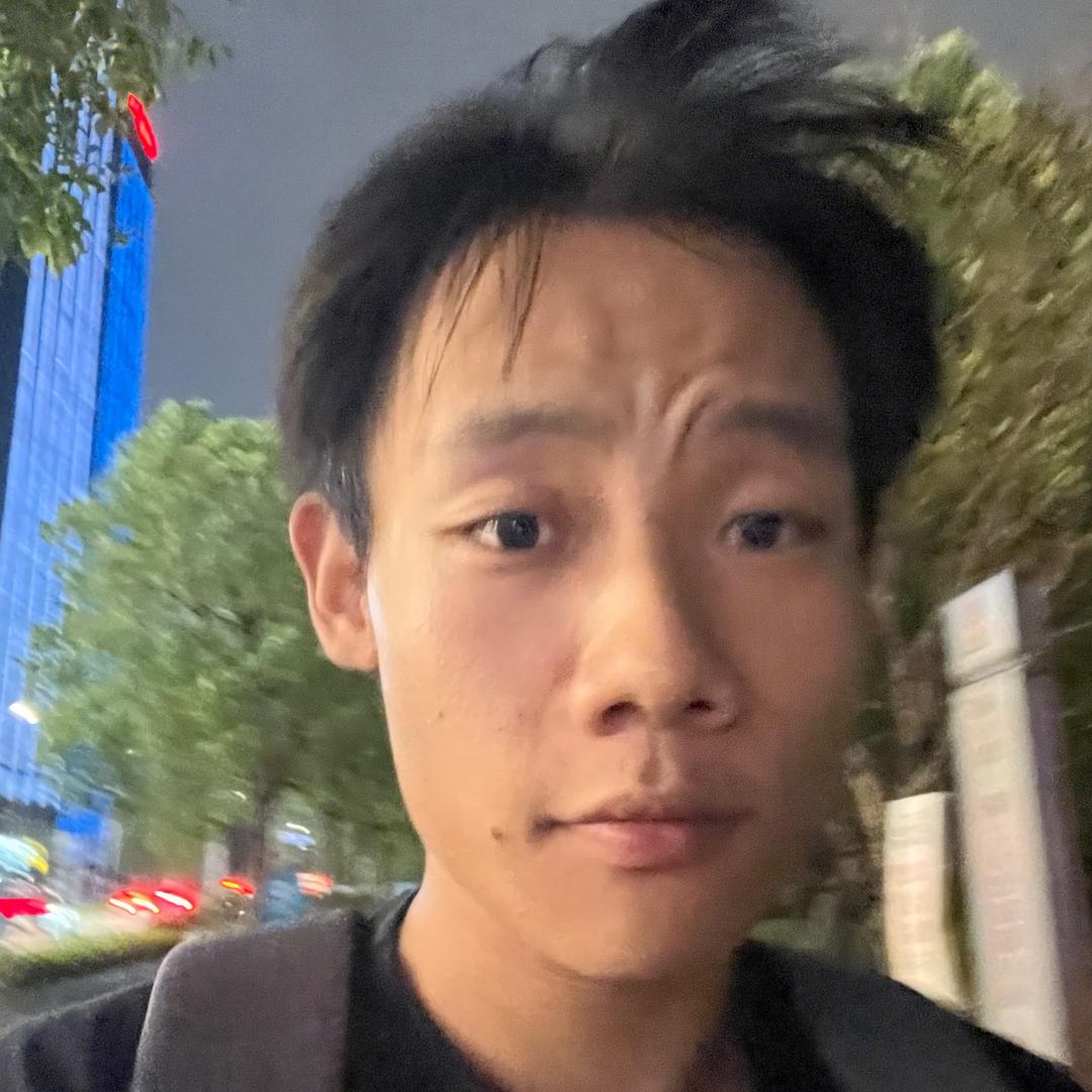 一只会开发的小刘鸭