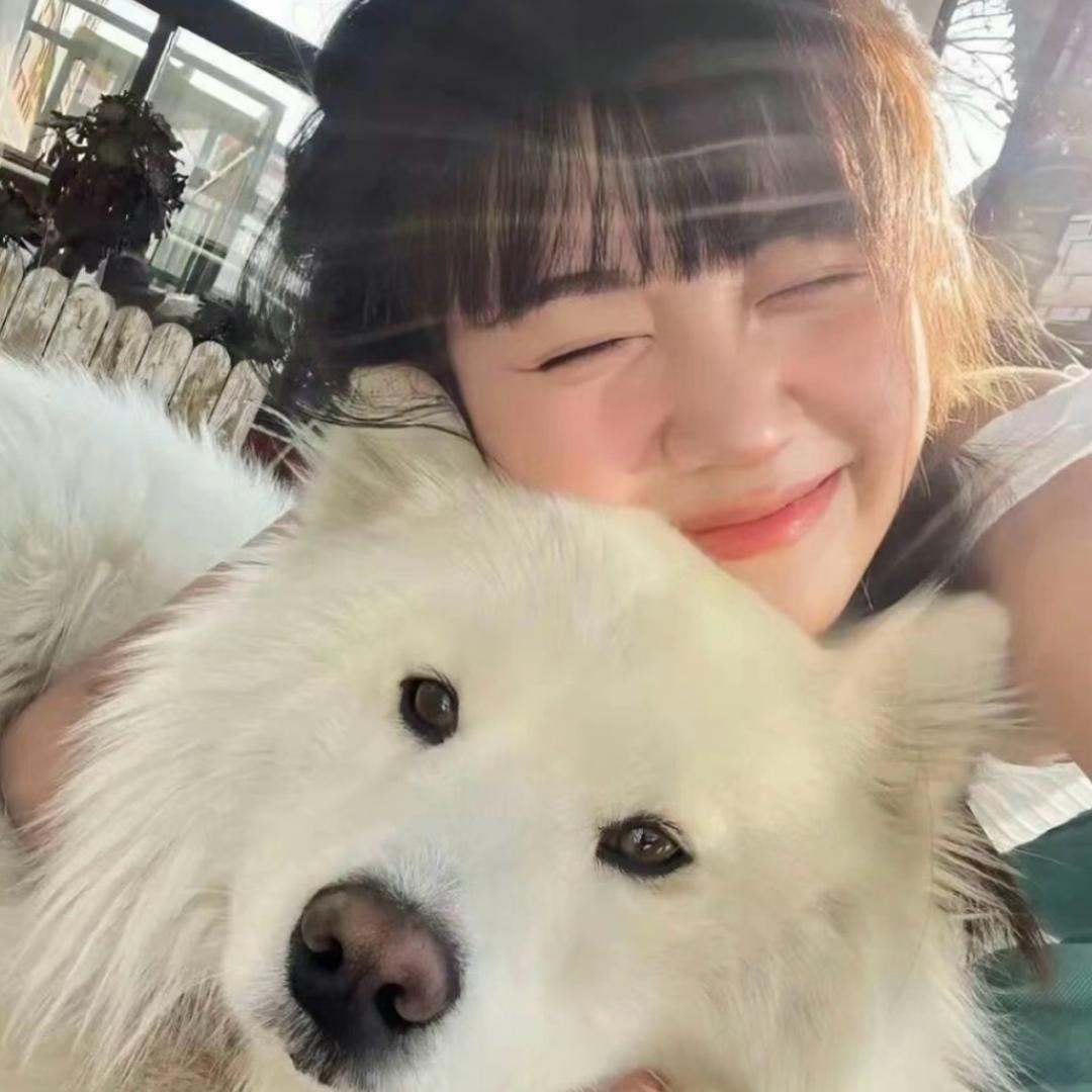 我只是一片脆弱的小海苔