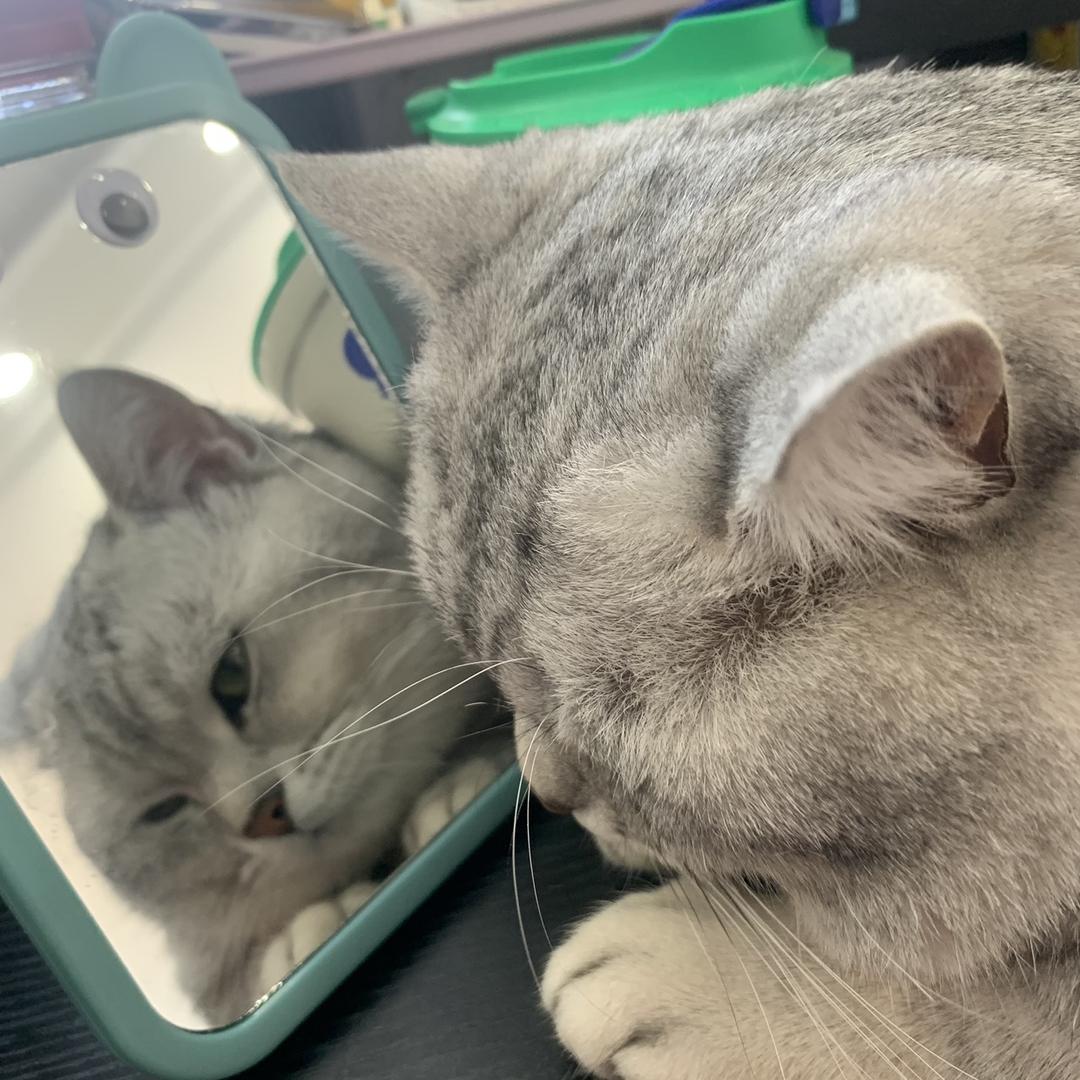 大萌美食