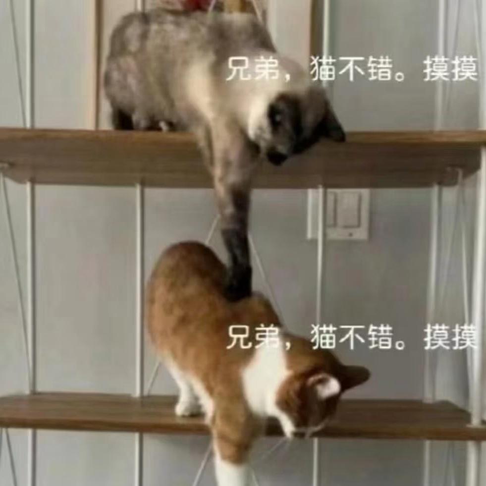 睡醒再画