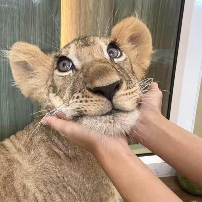 你好烦 我懒得跟你讲