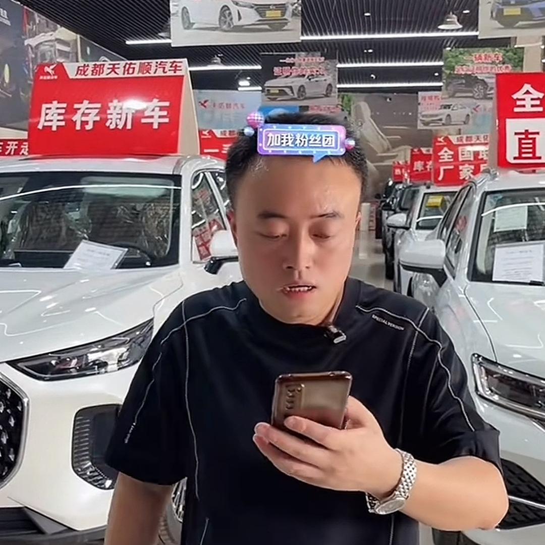 天佑顺折扣新车(鼎帝·棕榈印象店)