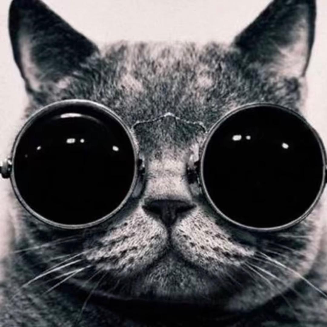 云南观察猫热成像(英睿热成像云南总代理)