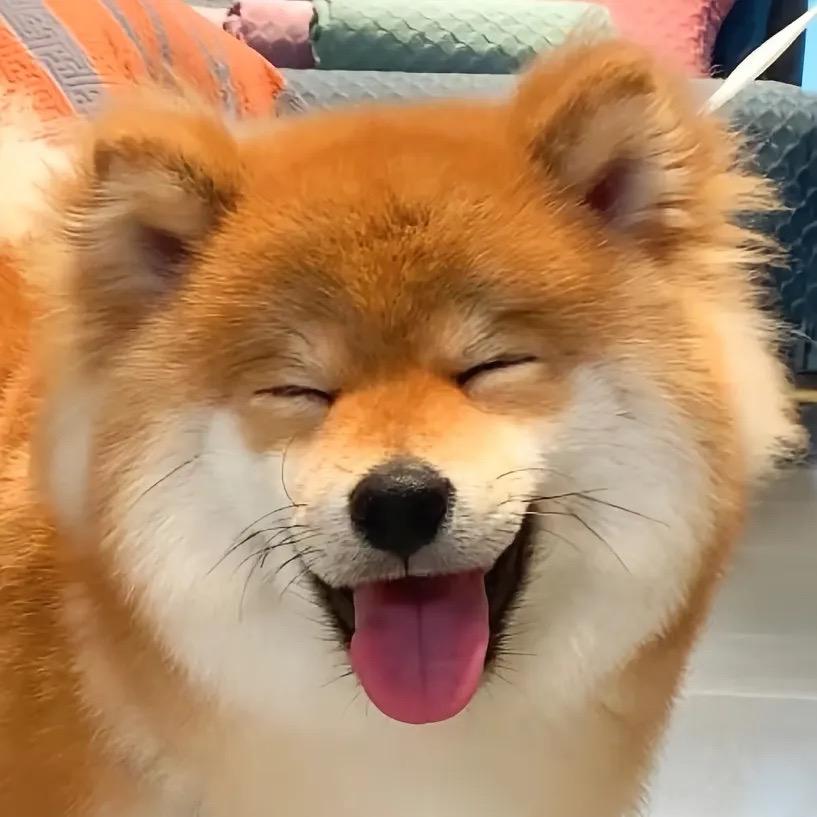李笑笑