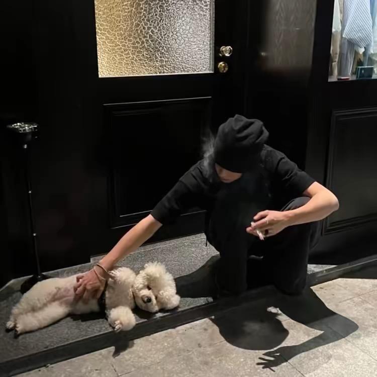 鲨鱼辣椒🌶️