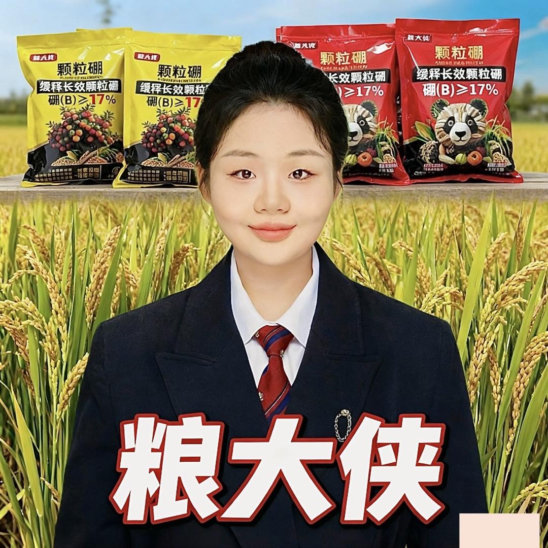 高菲带你种好地