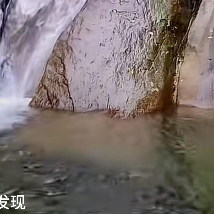 好又新小志官方号