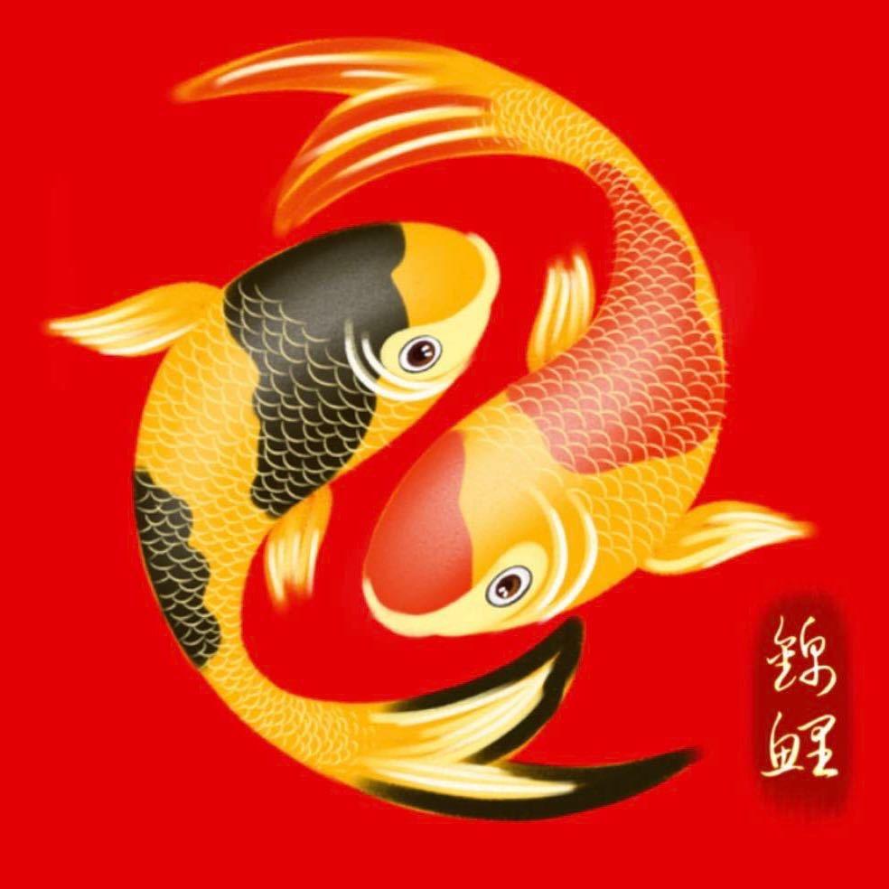 众乐•双彩（主页）