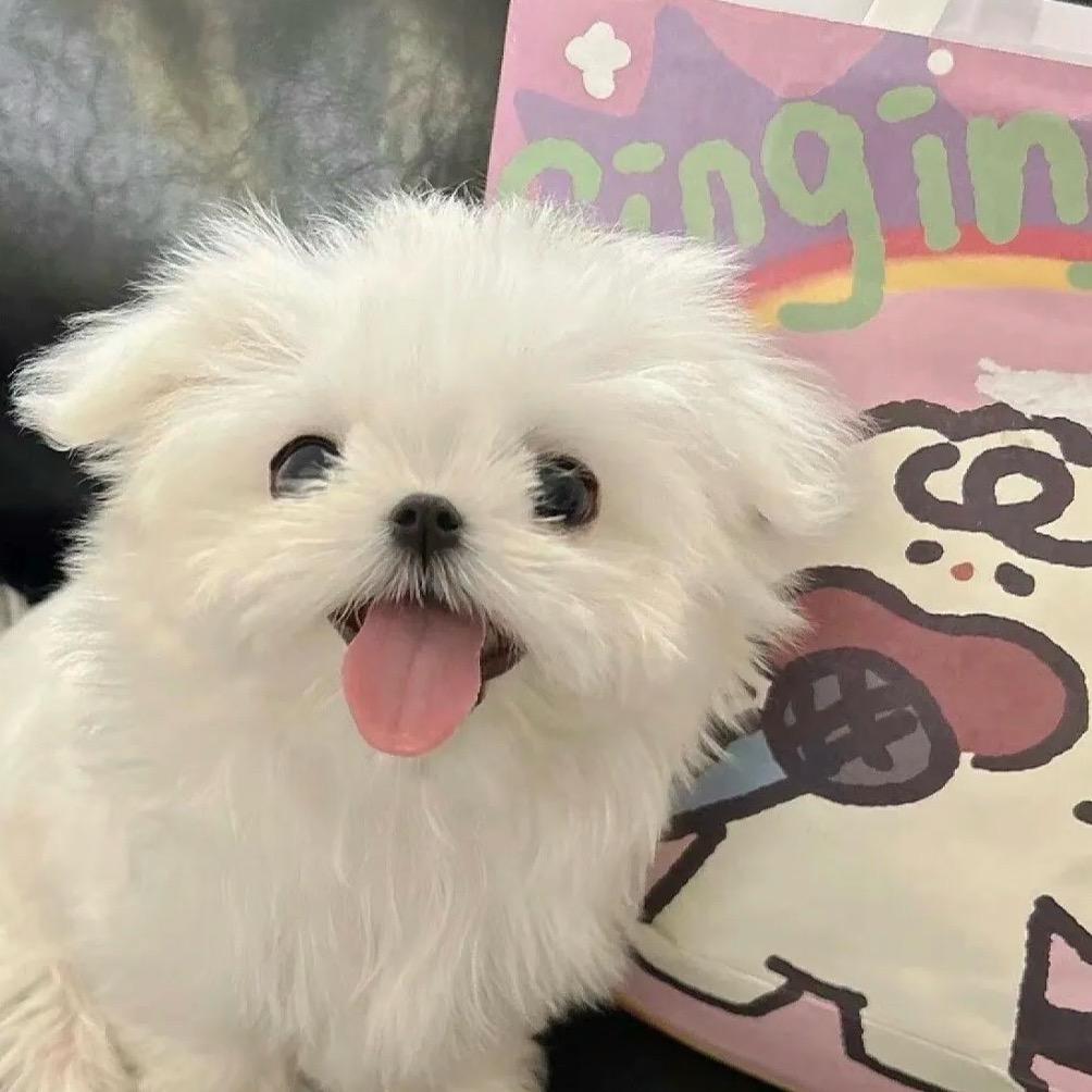 瑞瑞的好物店铺