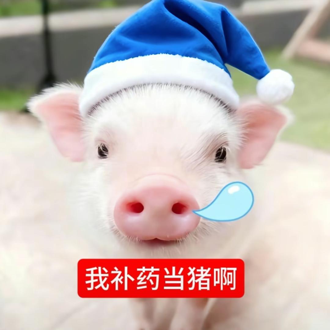 小椿控