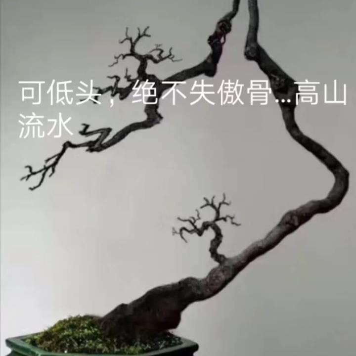 然院（舒潘）