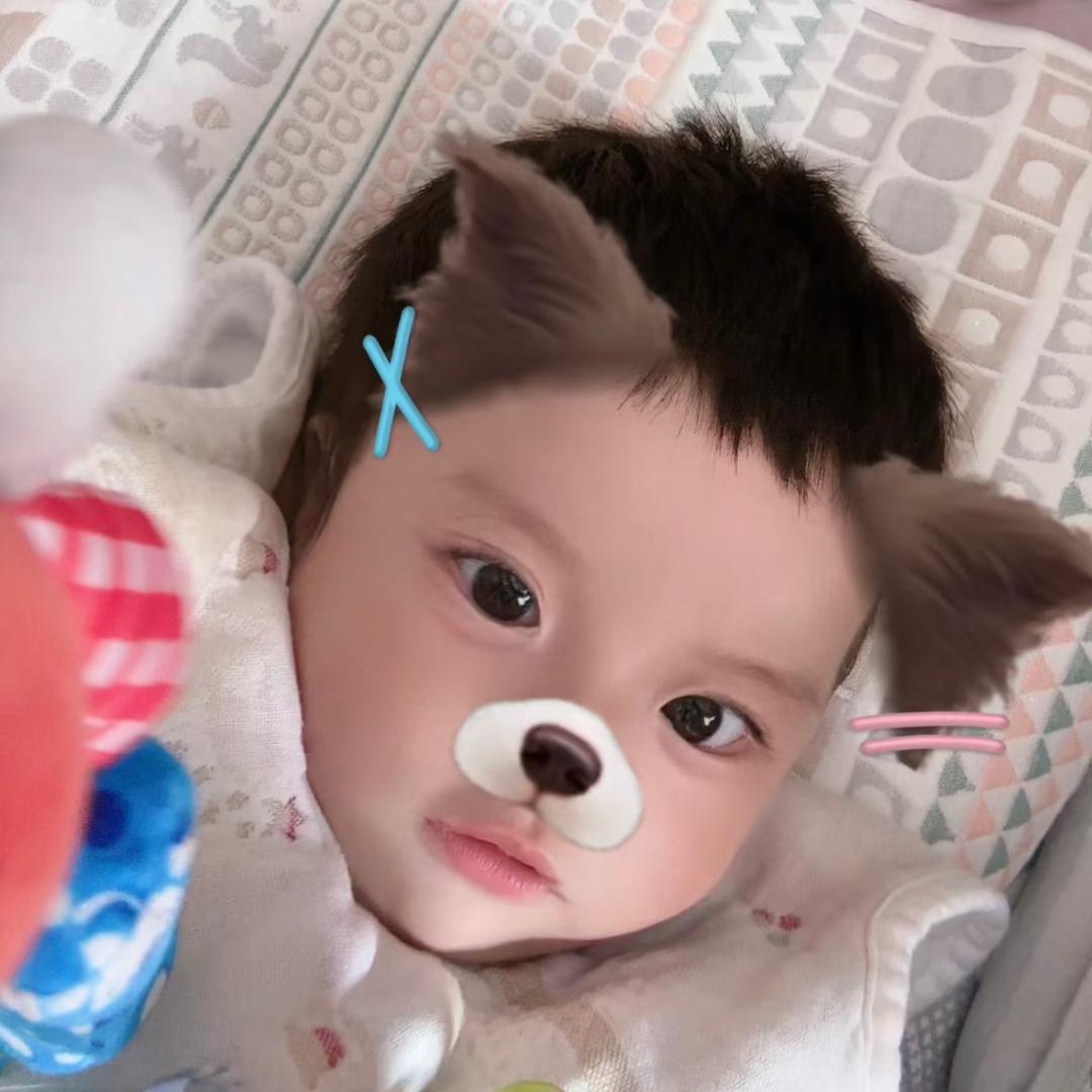 菡萏之花🌸
