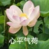 芝