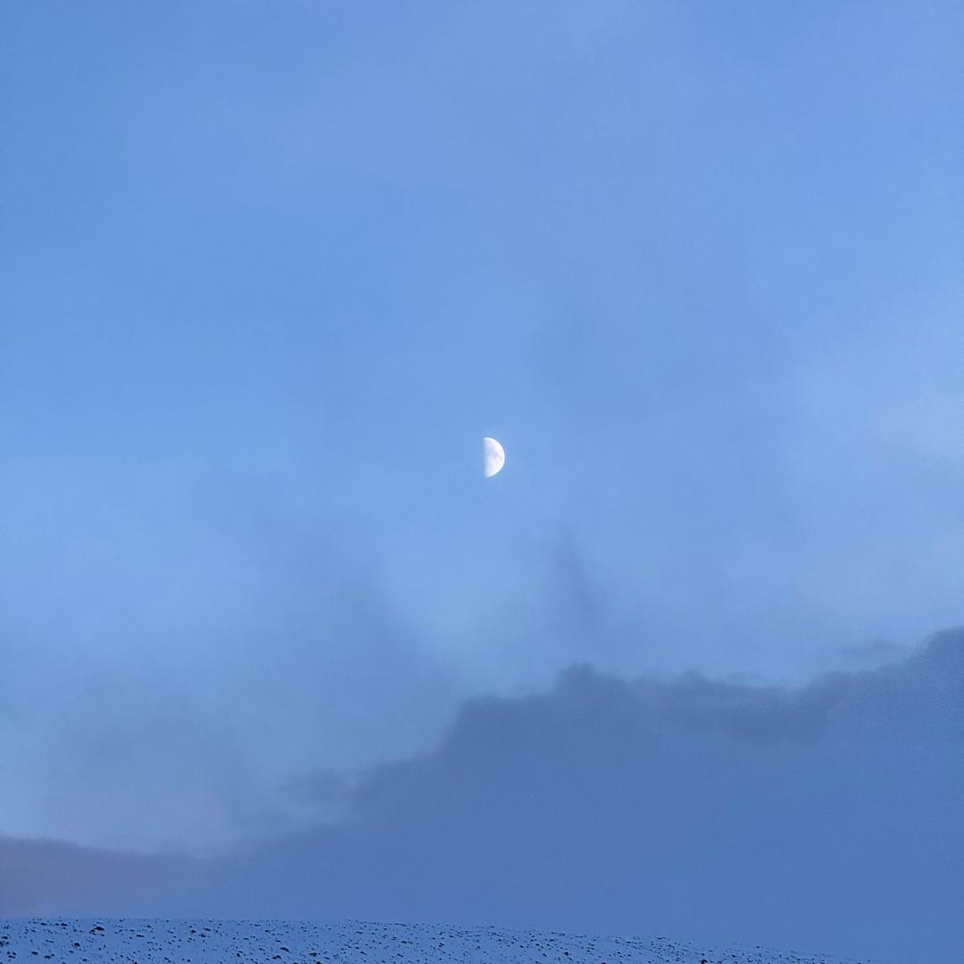 565656