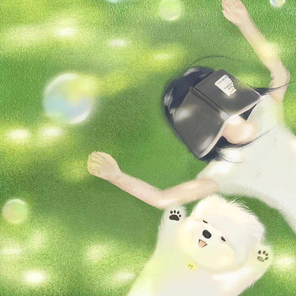 是球球啊