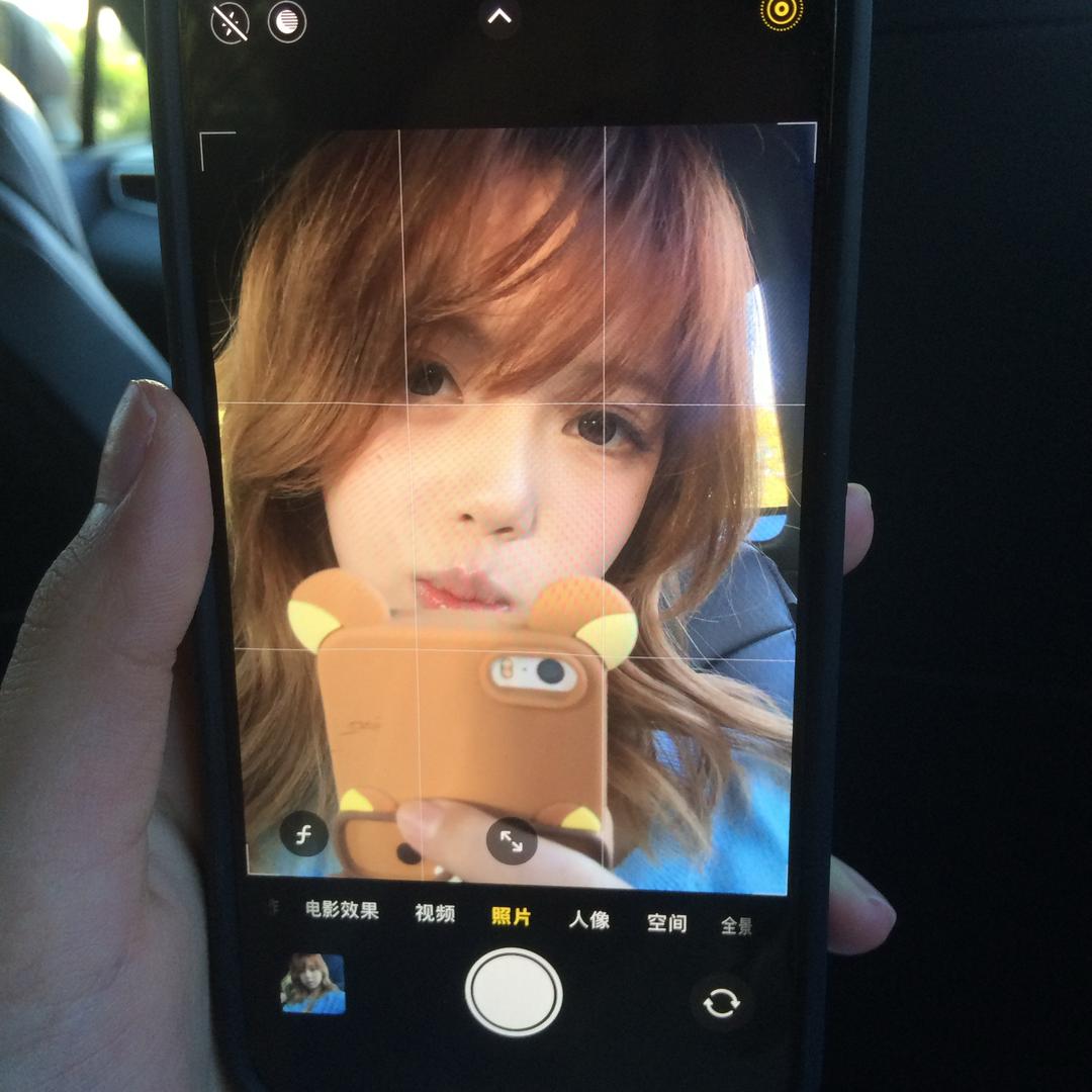 飞跃大雁塔的清纯羊驼