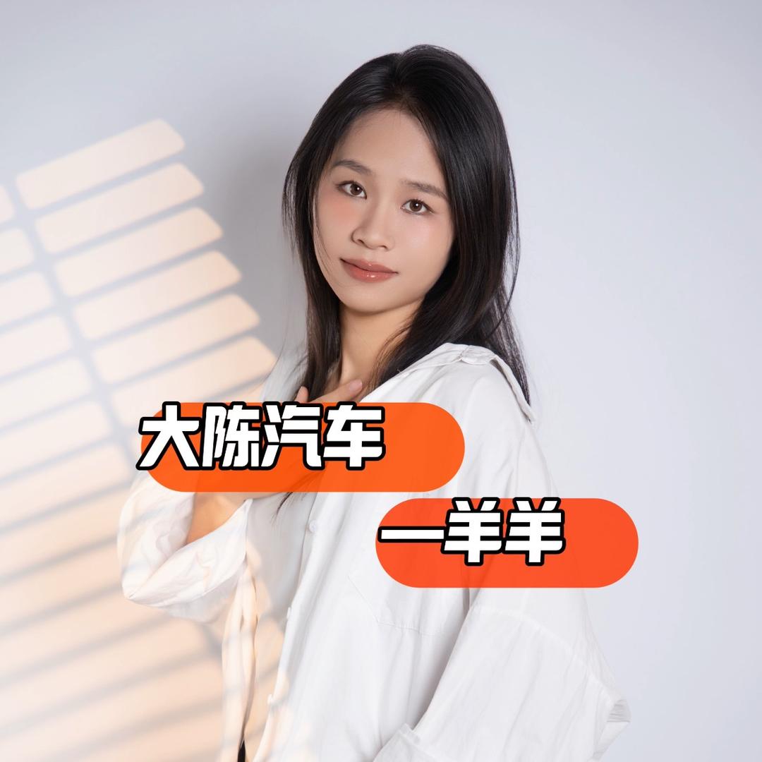 大陈汽车—羊羊