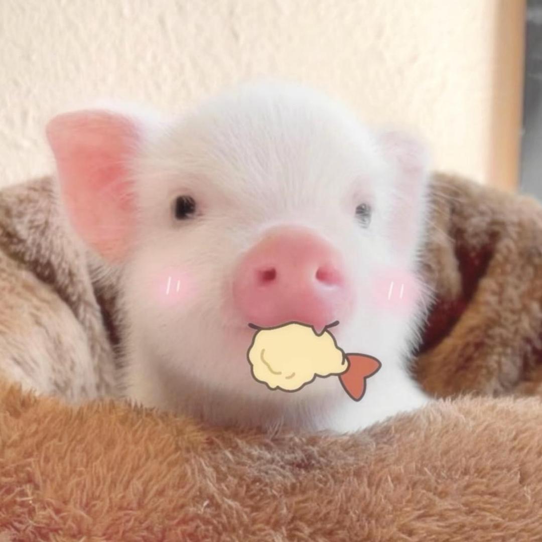 包包ㅤ