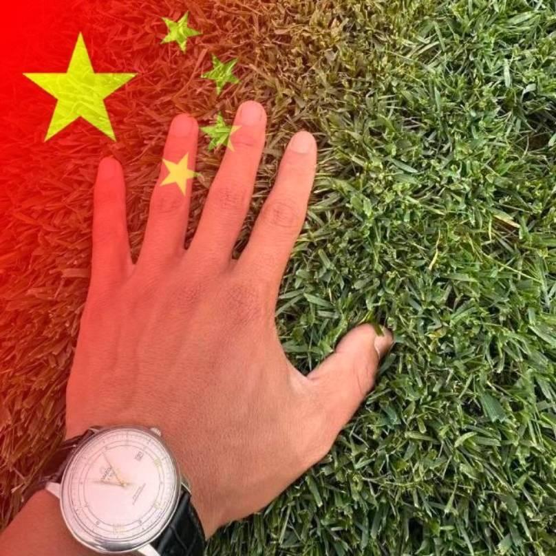 山东泰安·草坪基地直销