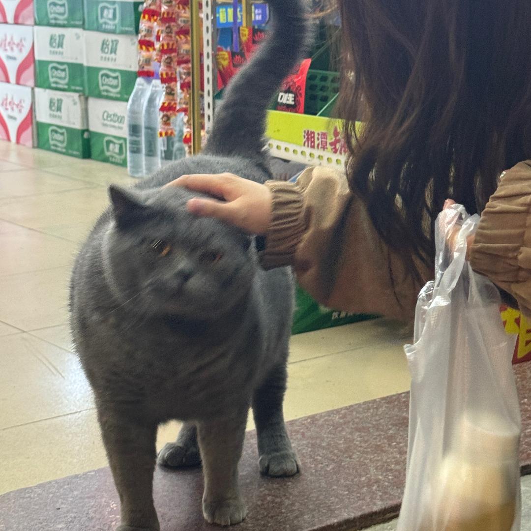 小奕困了