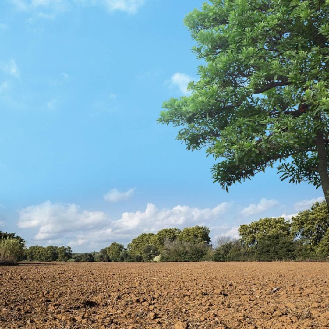 牧香苑活禽供应