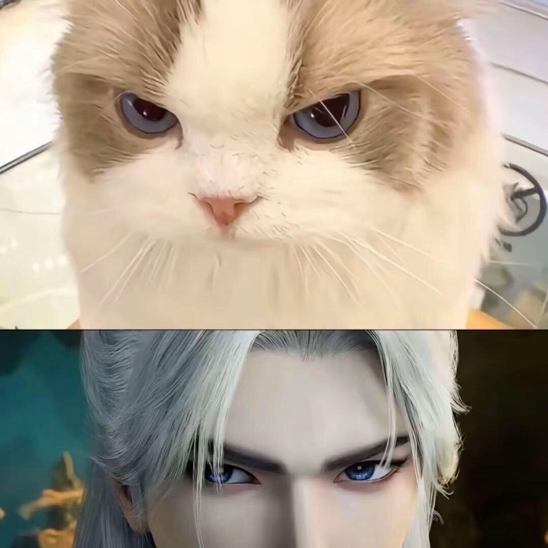 武汉estar王林（王者模拟战）