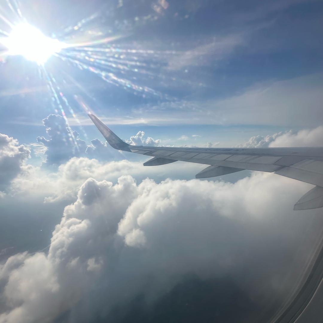 金苹果（首播晚上8.10分）