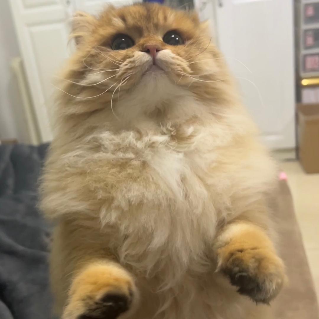 一会我就捶你了