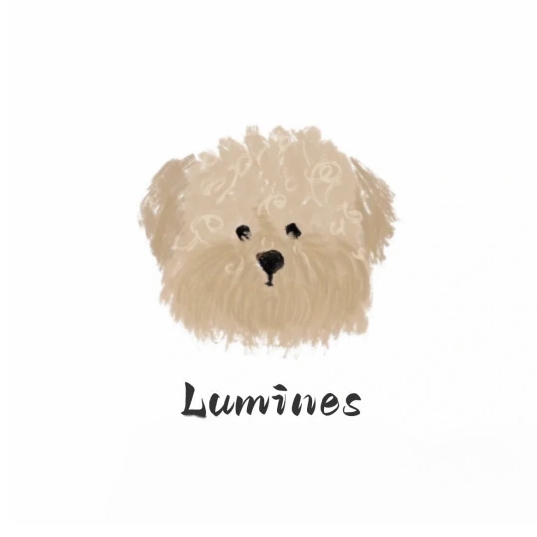 Lumines饰品