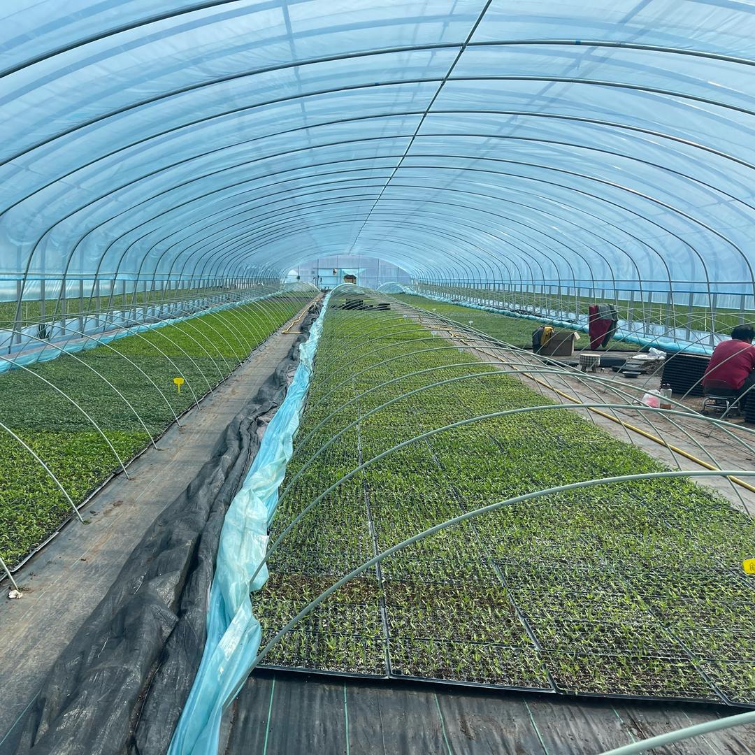 斌哥哥助农团.乡村振兴.醉美沂涛.