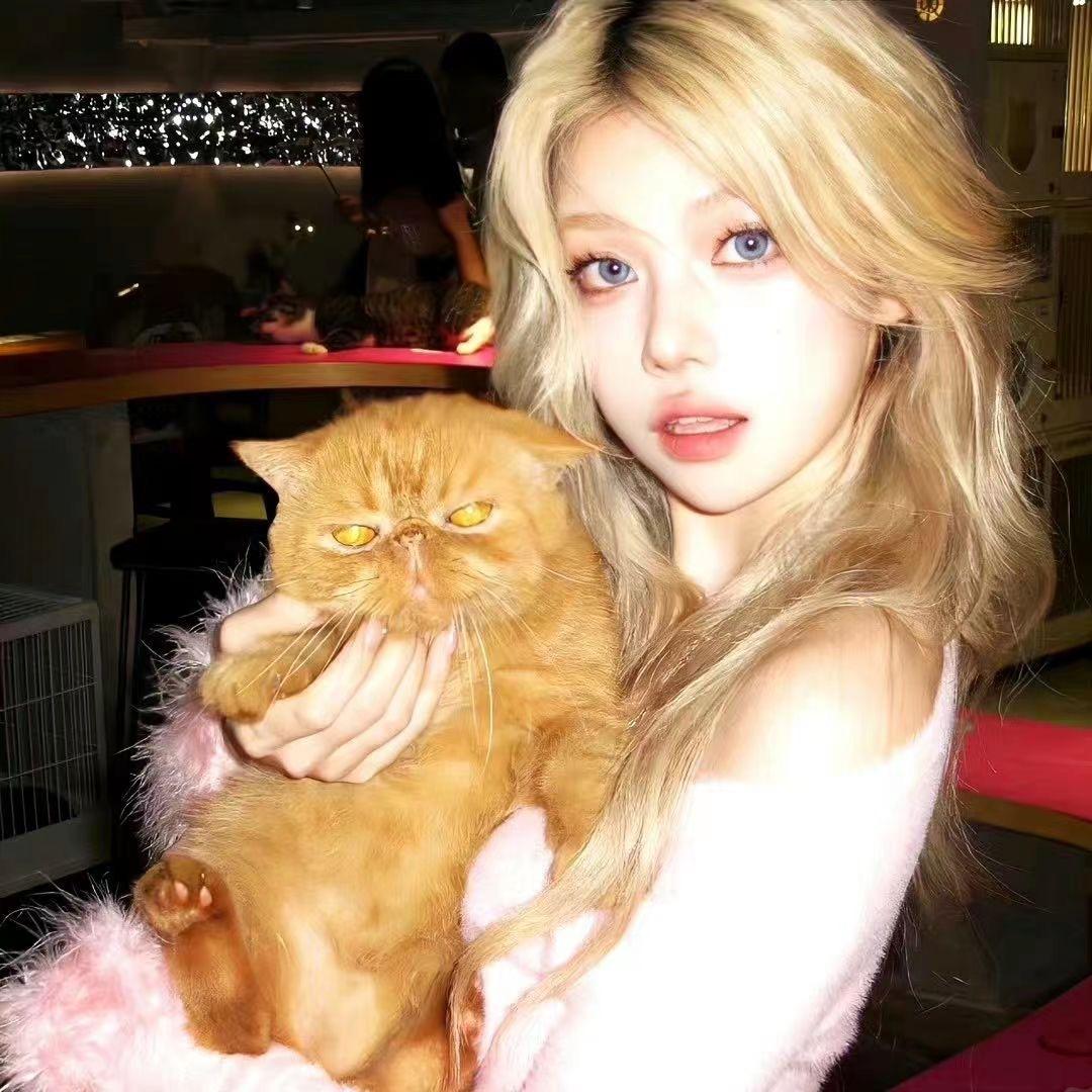 云杪（12.14生日版）