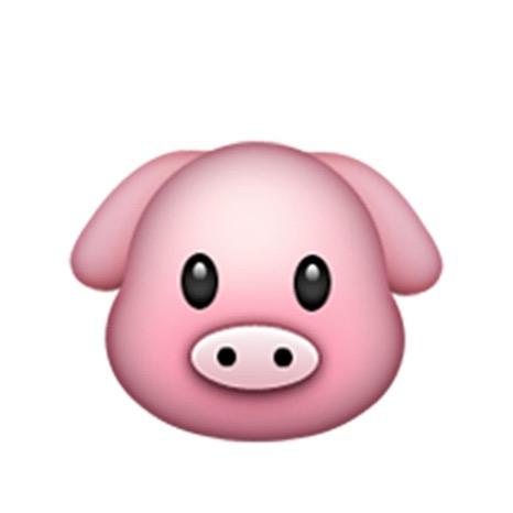 一欣伊忆