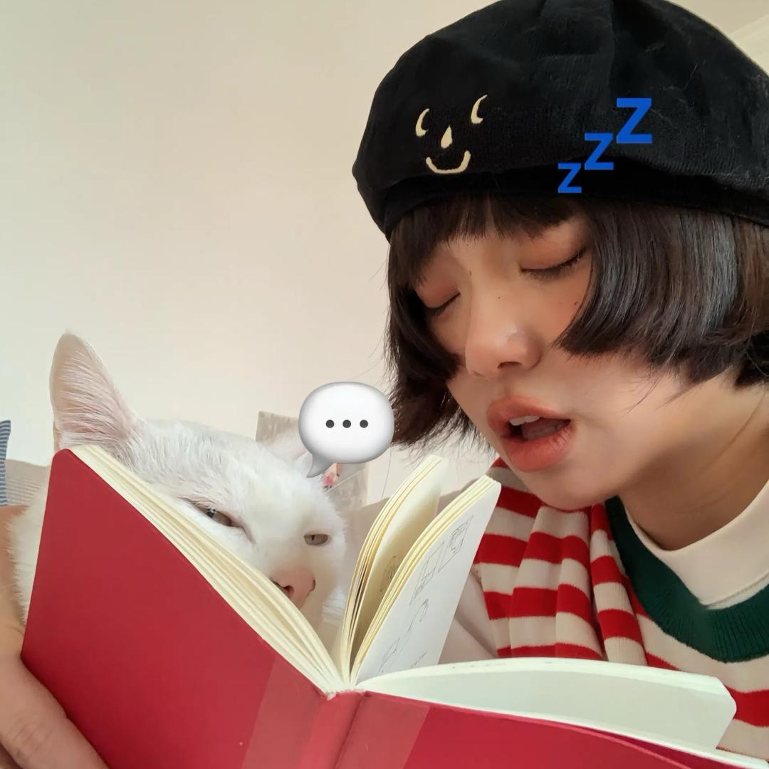馒头💤