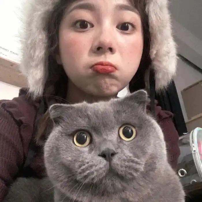 马宇