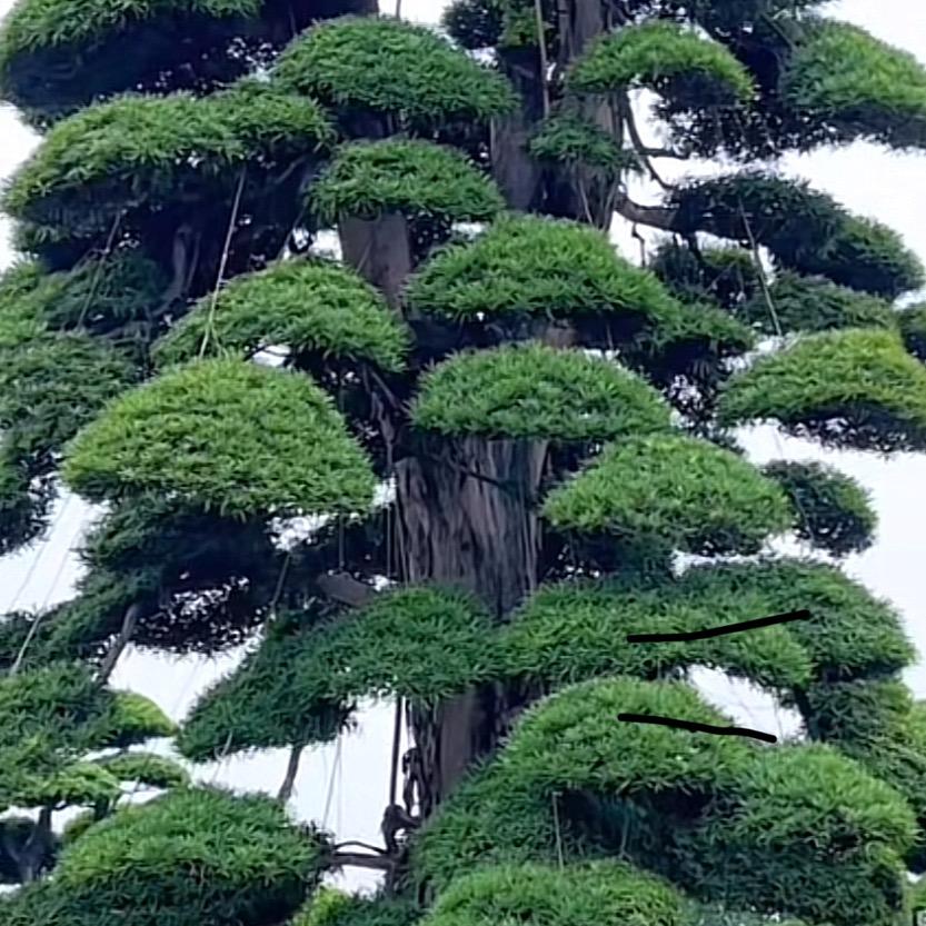 风雲YUN