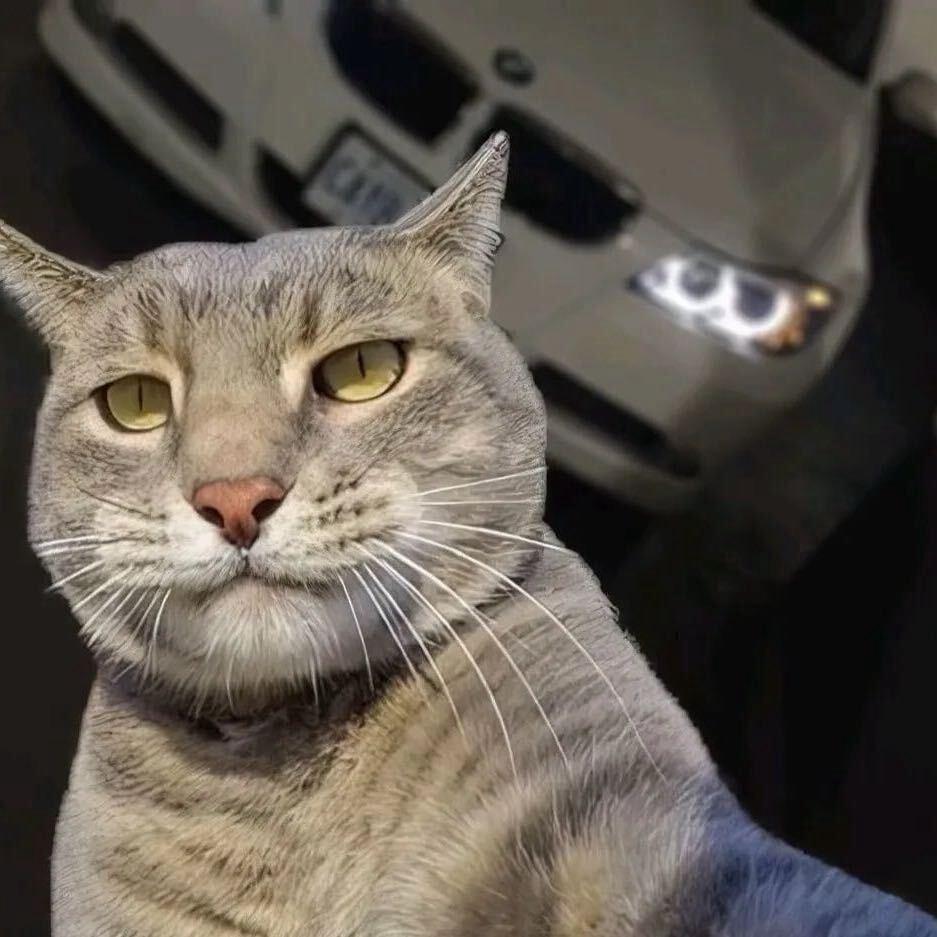 ￴ ￴￴ ￴ ￴爱在西元前