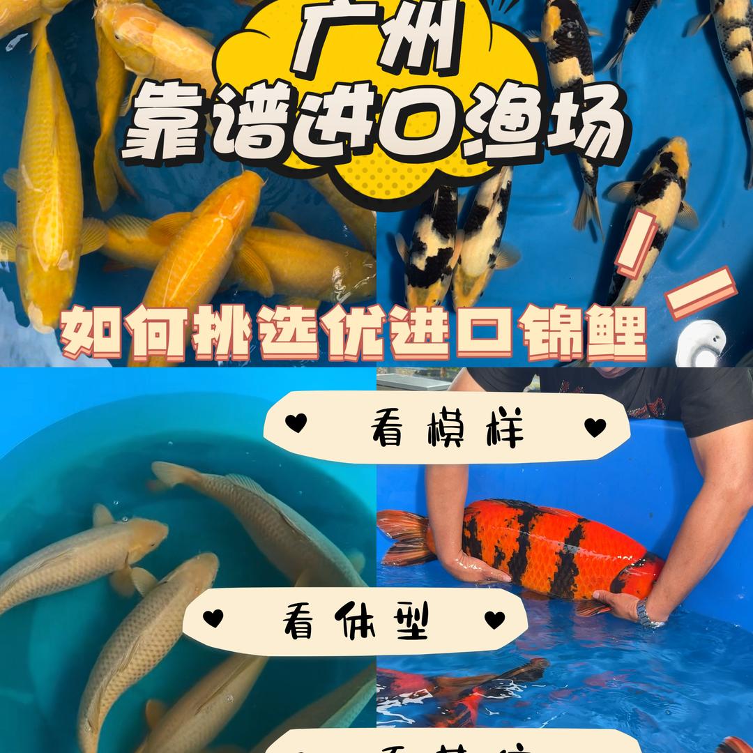 东锦邱静许