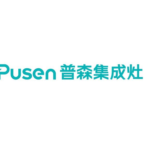 浙江普森电器有限公司