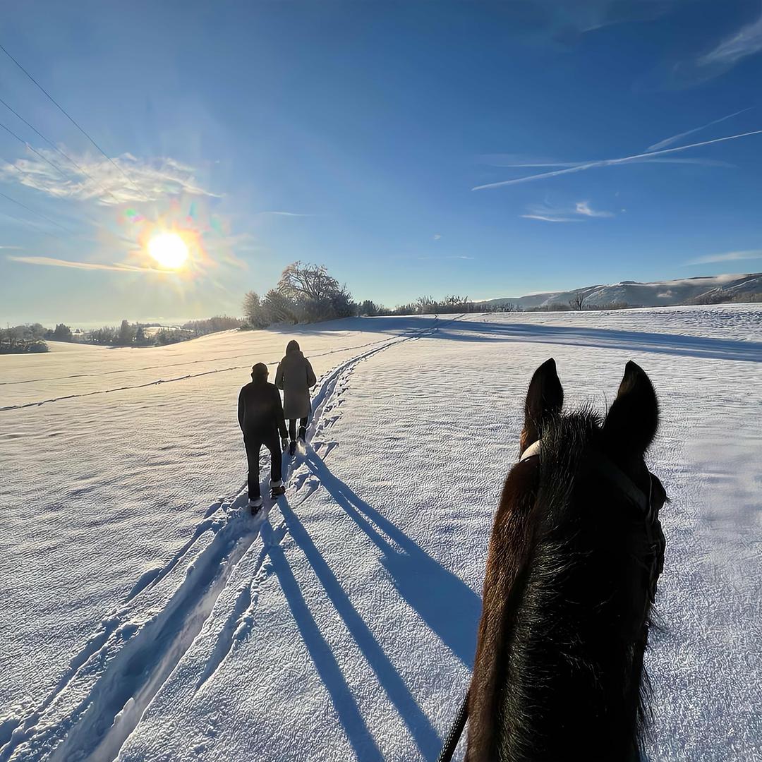 鼎盛投资 租车-阿轩