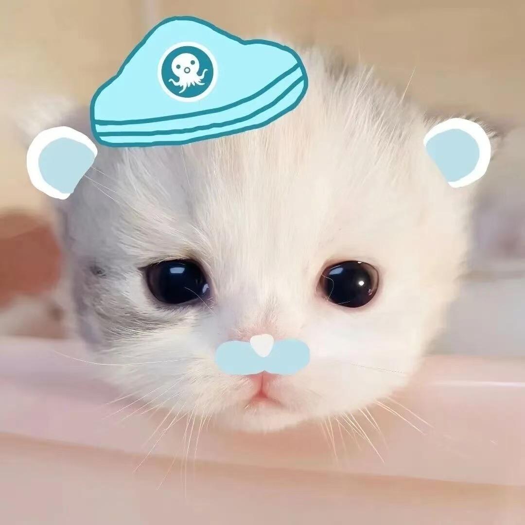 忧郁的蛋黄酥