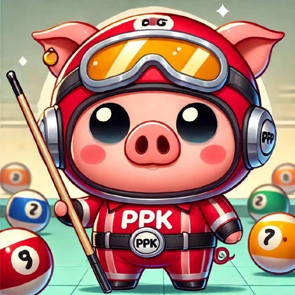 ppk台球杆工厂(可到付)