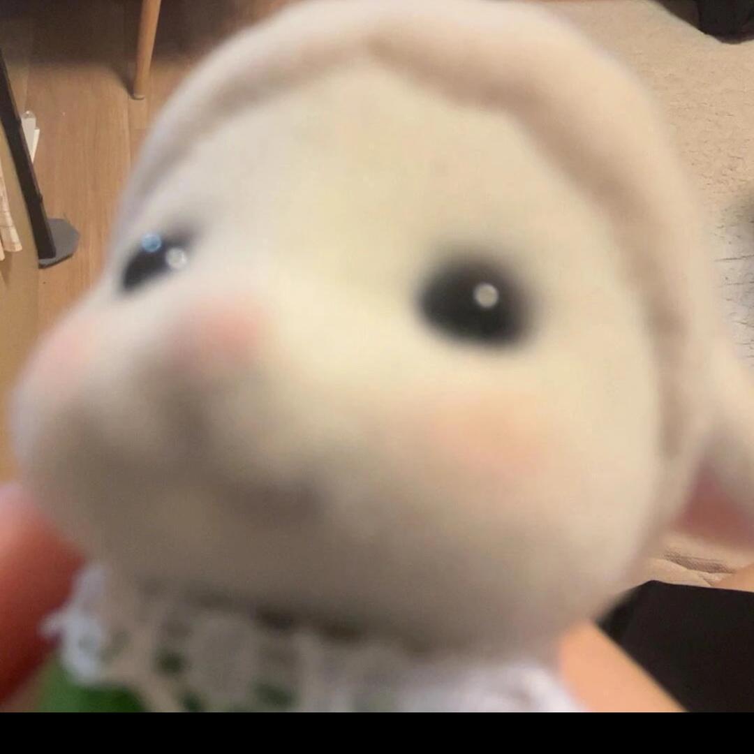 O3O
