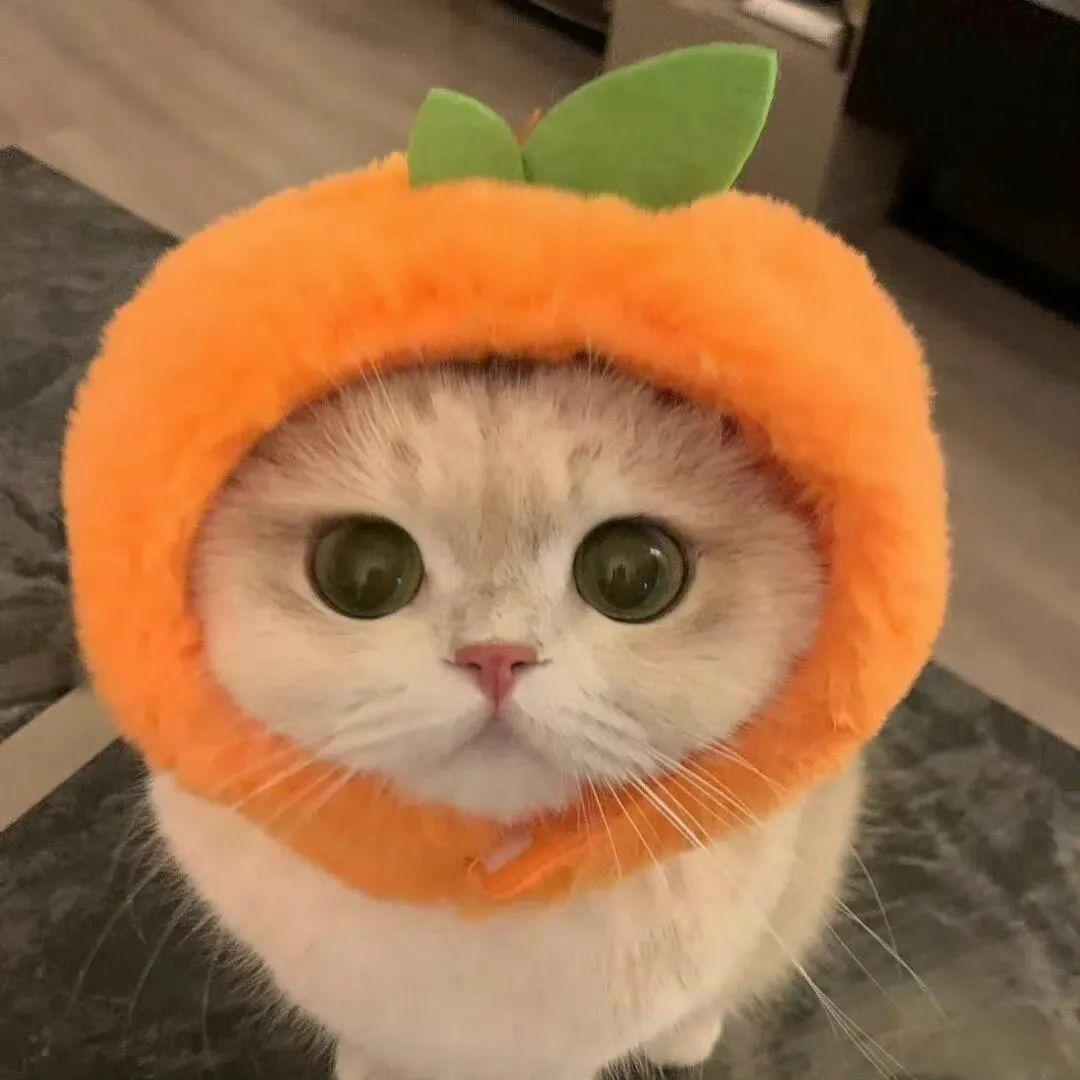 小航（我的花园世界）